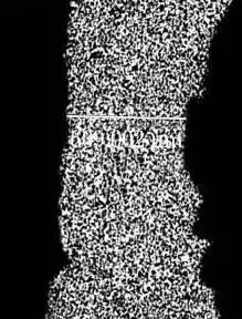 图片关键词 图片关键词